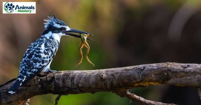 Animals That Eat Frogs