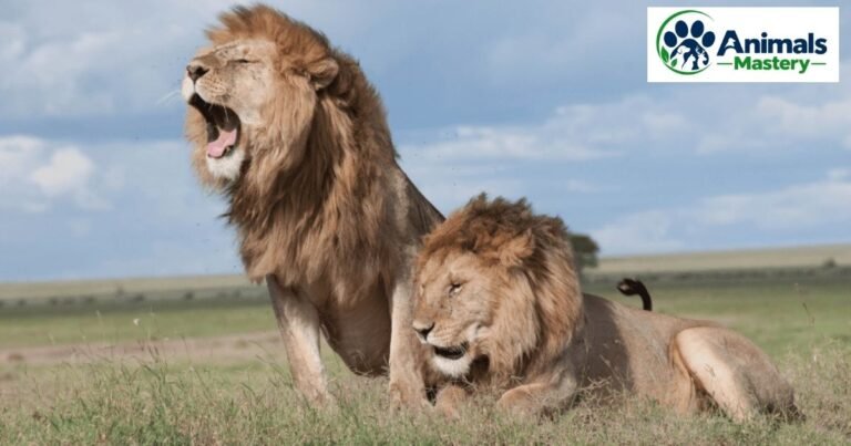 Animals With 4 Letters