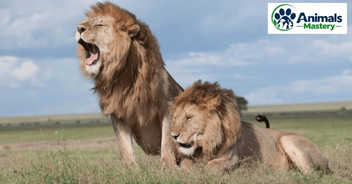 Animals With 4 Letters