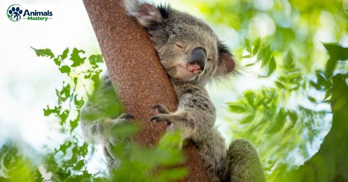 Animals That Sleep The Most