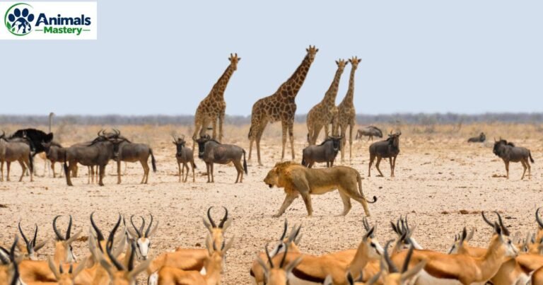 Animals With 3 Letters