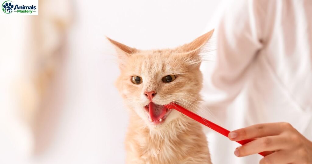 Regular Brushing