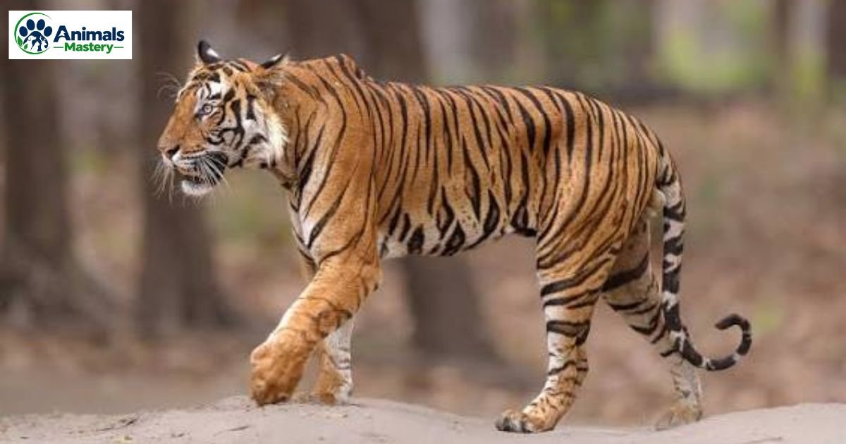 Animals That Sleep The Most