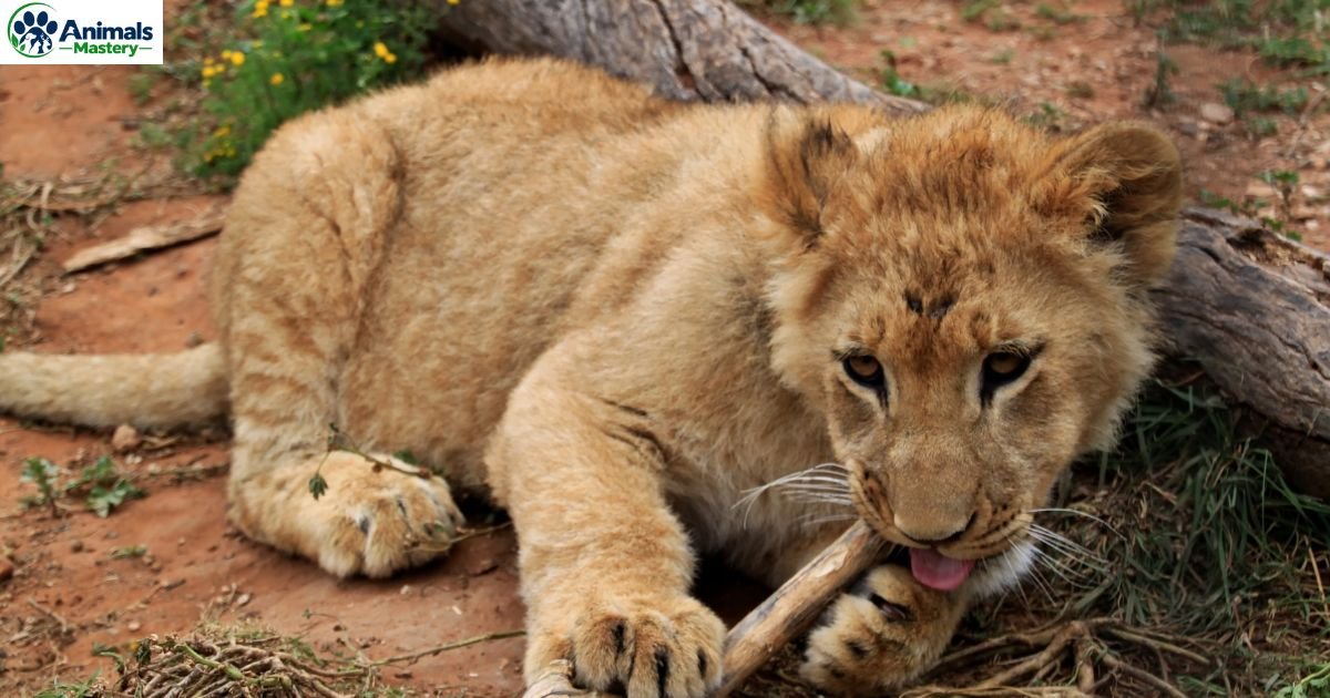 Animals That Eat Their Young